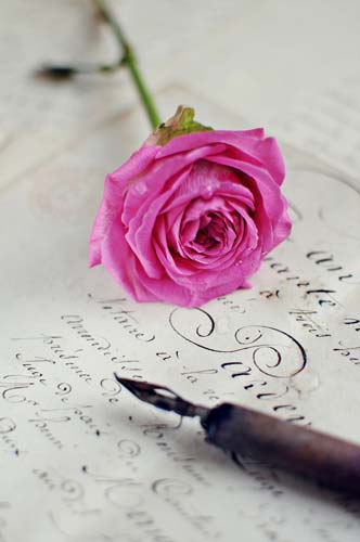 Rose und Stift auf Trauertext